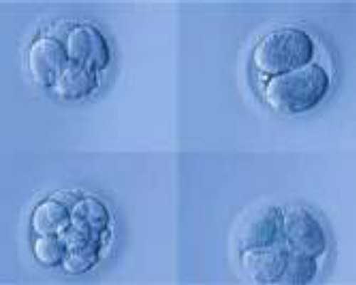 北京有偿代孕网,北京精子库精子多少钱,2026北京精子库申请精子多少钱