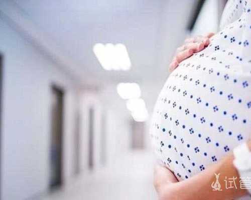 上海试管婴儿费用多少？2026年价格与医保保障分析