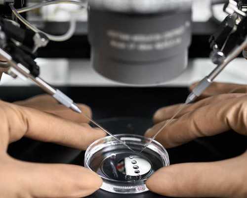 2026汕头先天无子宫能做试管选性别吗？附试管费用一览？